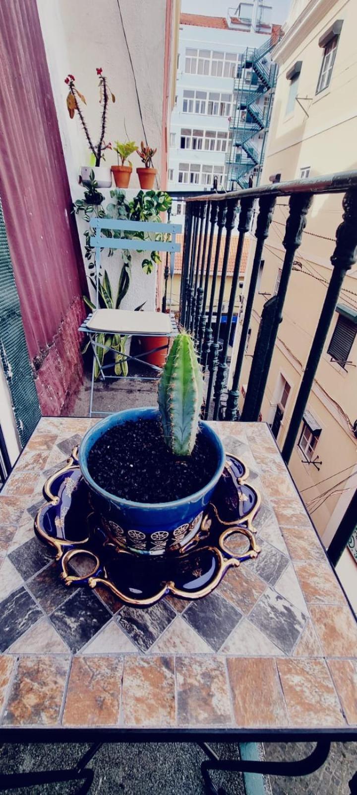 Charming Central Apartment To Rent Lisbona Esterno foto