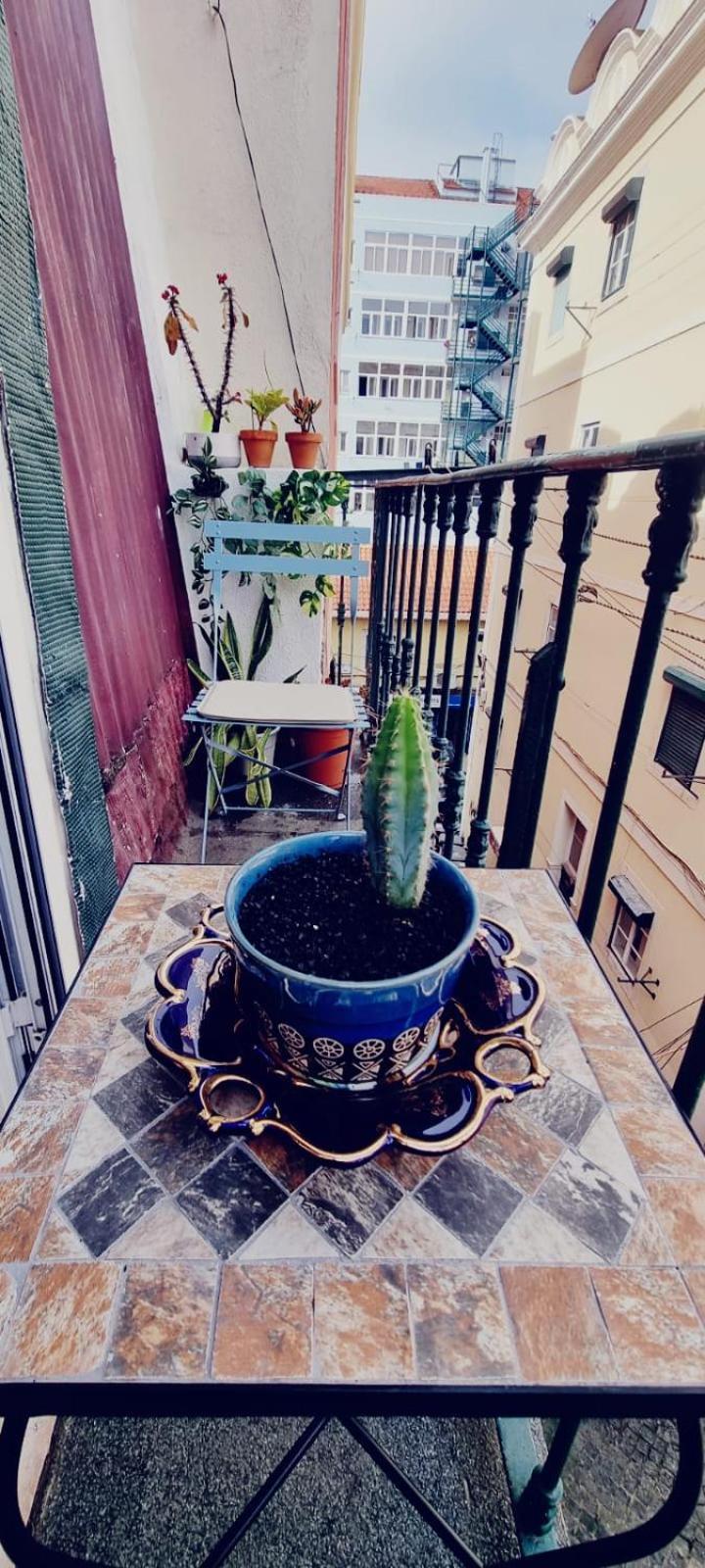 Charming Central Apartment To Rent Lisbona Esterno foto